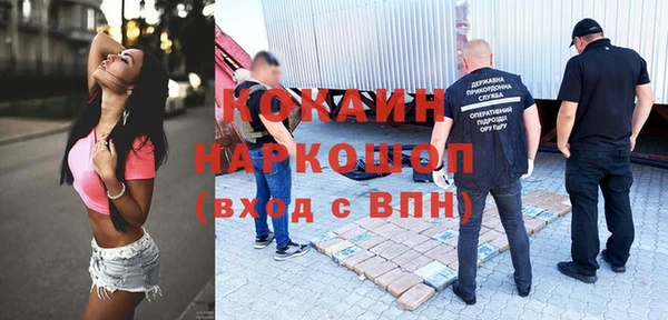 прущие крисы Пересвет