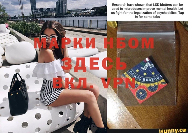 индика Данков