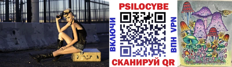 Псилоцибиновые грибы Magic Shrooms  купить закладку  Покровск 